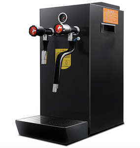 10L l di acqua <span class=keywords><strong>caldaia</strong></span>/da stiro a vapore elettrico di acqua calda bollente macchina per il caffè - Product Image 2