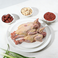 Viande de caille congelée de qualité export, certifiée Halal, enrichie en sélénium, avec procédé de congélation BQF et emballage sous vide, idéale pour les barbecues du Moyen-Orient