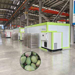 Máquina Comercial para Secar Mangos, Línea de Producción de Mango Deshidratado, Planta de Deshidratación de Mangos - Product Image 1