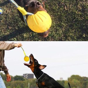 Petdom - Ventes chaudes - Jouets en mousse EVA pour chiens - Ballons à lancer en caoutchouc avec corde - Product Image 4