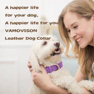 Weich gepolstertes Hunde halsband aus Leder Atmungsaktiv Verstellbares wasserdichtes taktisches Haustier halsband mit Metalls chnalle für kleine mittelgroße Hunde - Product Image 4