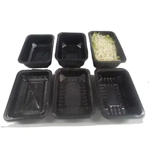PP food box can be customized in bulk