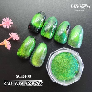 Poudre magnétique verte éclatante effet œil de chat LIBO pour nail art – Collection été - Product Image 1