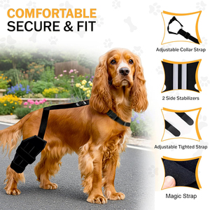 อุปกรณ์พยุงเข่าสุนัขแบบปรับได้ สำหรับขาหลัง ช่วยบรรเทาอาการปวดข้อ ACL ฉีกขาด ข้ออักเสบ ฟื้นฟูอาการบาดเจ็บ ผ้าพันพยุงเข่าสัตว์เลี้ยง - Product Image 4