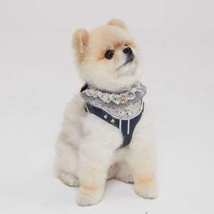 Arnés de Cuero Premium Transpirable e Impermeable para Perro, Arnés Acolchado para Pasear Mascotas con Característica Resistente a las Manchas, Talla Personalizada - Product Image 6