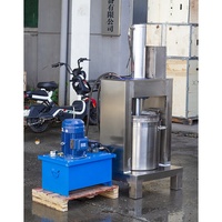 Presse-agrumes hydraulique à froid commercial pour la maison presse-agrumes pour jus pur légumes citron Fruits raisin vin cerise automatique