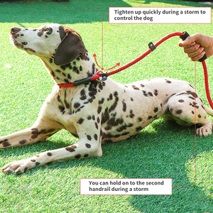 Wholesale Strong Padded Rivet Waterproof <strong>Dog</strong> Leash Climbing Running Tracking Reflective Soft Handle Nylon Rope Pet <strong>Dog</strong> Leash - Product Image 3