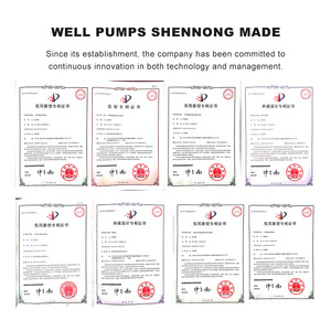 มอเตอร์ไฟฟ้าทองแดง SN <span class=keywords><strong>JSW</strong></span> M ซีรีส์ 1.5 แรงม้า 1.1 กิโลวัตต์ พร้อมปั๊มเหล็กหล่อแบบดูดน้ำเองได้ สำหรับใช้ในครัวเรือน แรงดันสูง - Product Image 5