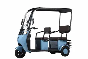 ホット販売48V20Ah炭素鋼電動三輪車3輪スクーター500W電源、EEC認定