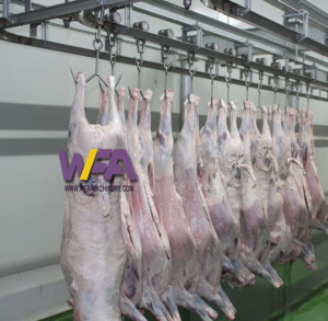 Petit abattoir pour moutons et chèvres, poulie de rail aérien pour boucher, crochet de suspension de viande en acier inoxydable - Product Image 2