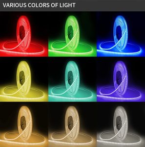 Lampu LED COB DC 12V WS2812B 5mm Strip COB yang Dapat Diatur Secara Individual 160LED/<span class=keywords><strong>m</strong></span> RGB IC Piksel Warna Penuh Kepadatan Tinggi - Product Image 3