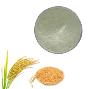 Wholesale High Quality Brown Rice Flour Best Supplier with Best Price