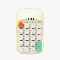Receptor Inalámbrico BT 5.2 + 2.4GHz con Teclado Numérico ANBK-01, Retro, Doble Modo, KC, FCC, CE, RoHs, Molde Privado, Logotipo Personalizado, Paquete