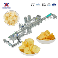Ligne de production automatique de chips de manioc frites 500 kg/h, en acier inoxydable 304, uniformité d'assaisonnement ≥95%, nettoyage CIP, protection multi-sécurité
