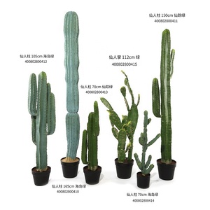 Pianta di <span class=keywords><strong>Cactus</strong></span> Artificiale di Alta Qualità, Grandi <span class=keywords><strong>Piante</strong></span> Succulente Decorative, <span class=keywords><strong>Fiori</strong></span> di <span class=keywords><strong>Cactus</strong></span> Artificiali all'Ingrosso <span class=keywords><strong>con</strong></span> Vaso - Product Image 2