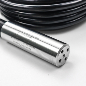 جهاز استشعار مستوى السوائل الصناعي الرقمي الذكي من الفولاذ المقاوم للصدأ، نوع قابل للإدخال، مع مخرجات 4-20 مللي أمبير و0-10 فولت وRS485 وHART، مدى 0-500 متر، قابل للتخصيص - Product Image 4