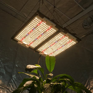 KingBrite 240W Lampes de culture LED étanches XP-E2 660nm UV IR avec interrupteur, dissipateur thermique séparé, Samsung LM301H KB272 pour application de floraison - Product Image 1