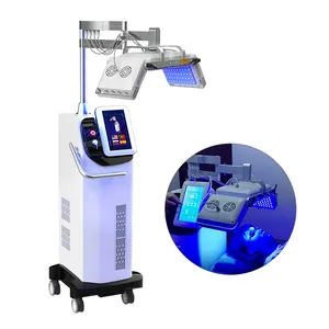 Máquina profesional de terapia de luz LED Pdt, máscara Led de etiqueta privada, fotón LED Pdt, multifunción