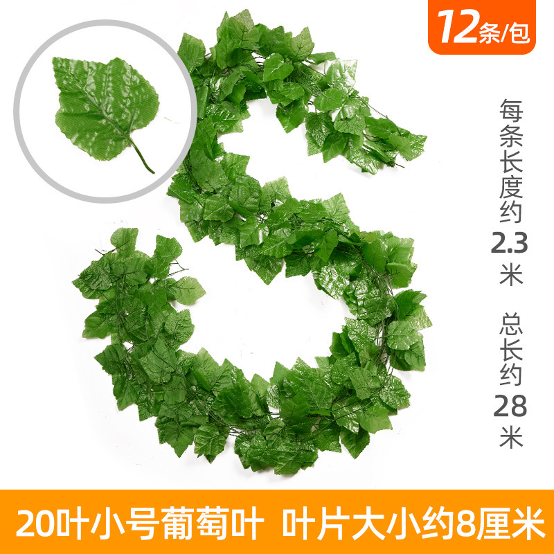 Petite variété de raisin avec 20 feuilles (12 raisins)