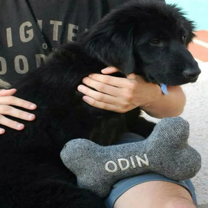 Kişiselleştirilmiş işlemeli adı özel köpek oyuncak Pet çiğnemek oyuncaklar dayanıklı köpek oyuncaklar yılbaşı hediyeleri - Product Image 4