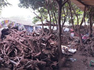 맞춤 수족관 장식 수족관 장식 - Product Image 3