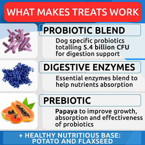 Probiotik kunyah lembut untuk suplemen anjing dengan enzim pencernaan & prebiotik coprotagia pencernaan meningkatkan sistem imun - Product Image 4