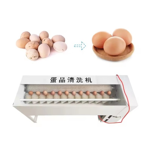 High Efficiency Duck Egg Cleaning Machine 2000pcs/h Food Grade 304 Stainless Steel Egg Washer for Clay-Coated Salted Duck Eggs