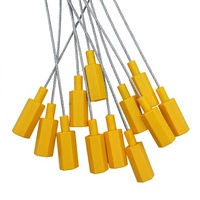 Fabrikverkauf 30cm 40cm kundenspezifische Länge ABS-beschichtete Drahtkabelplombe für Kraftstofftank-Containerfracht mit Logo und Nummern
