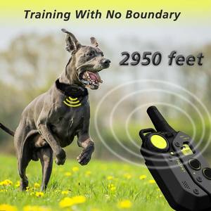 <span class=keywords><strong>Collar</strong></span> de choque para perros Gama de gama alta IPX7 Juego de <span class=keywords><strong>collar</strong></span> electrónico de entrenamiento remoto a prueba de agua para perros - Product Image 5