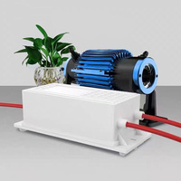 Medizinisches Quarz rohr Luft wasser 10g Ozon generator rohr 5g für Wäsche