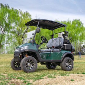 Carrito de Golf de 2 Plazas a Precio Mayorista, con Color y Logotipo Personalizados, para Atracciones Turísticas, Campus y Parques, Diseño Premium de Alta Gama - Product Image 1