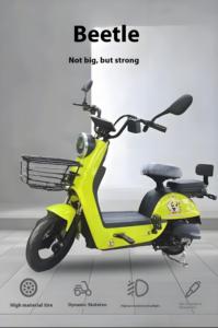 Bicicleta con Diseños Personalizables, Económica, de Acero al Carbono, 48V 1000W, Motor sin Escobillas, 60km, Pantalla LCD Digital Electrónica - Product Image 2