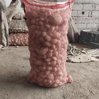 Kostal van Leno-type vezel voor aardappelen 62x87cm
