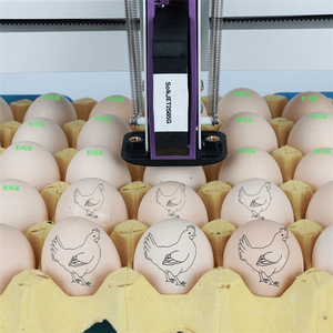 High-<strong>definition</strong> Egg Inkjet Printer / Automatic Tray Printing / Can Print Numbers / Chinese Characters / LOGO and Other <strong>Words</strong>. - Product Image 6