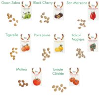 Haute qualité intérieur légume tomate jardin truie paquet boîte plante Kit aromatique vieilles tomates pour sol utilisation chambre Occasion