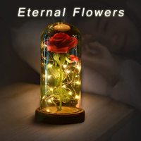 Vente en gros Cloche de roses en verre Mini dôme de roses éternelles conservées Fleur dans un dôme en verre avec lumières LED