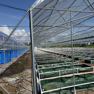 ระบบ Aquaponics เชิงพาณิชย์สำหรับการเลี้ยงปลาน้ำจืดและการเลี้ยงกุ้งเพื่อการเจริญเติบโต - Product Image 4
