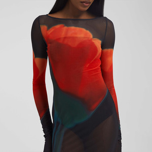 Vestido largo con cuello redondo y estampado de estilo europeo y americano, de manga larga y capa transparente, ideal para discoteca. - Product Image 4