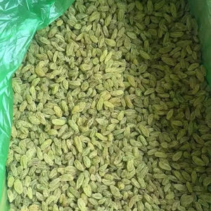 Toptan yüksek kalite çin kökenli fabrika kurutulmuş meyve ürünü-tatlı yeşil ve kırmızı üzüm - Product Image 2