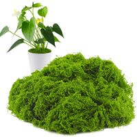 Mousse de Sphagnum Artificielle en Fibres Végétales, Gazon Synthétique Vert Réaliste pour Aménagement Paysager, Mousse Filamentuse Durable et Écologique pour la Maison
