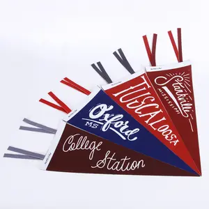 High Quality Customize Printing School College Triangle Felt Pennant With Logo