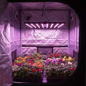 Luces de Cultivo 5*5 con Espectro Ajustable para Floración - Product Image 1