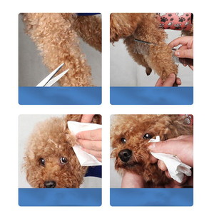 Kediler ve Köpekler için Evcil Hayvan Güzellik Askılı Tırnak Kesici ve Hamak - Modern Kauçuk Tasarım Dayanıklı Küçük/Orta/Büyük Boy - Product Image 5