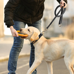 Correa De cuero resistente para mascotas, correa para perros con mano, correa de cuero para perros, junta tórica para bolsa de caca, aventuras al aire libre colgantes - Product Image 6