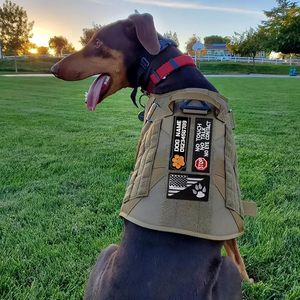 Benutzer definierter Pat Name Patch Abnehmbarer taktischer Klett-Patch mit Klett verschluss Bestickter Service Guide Hunde geschirr Trainings weste Patches - Product Image 3