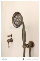 Support mural classique pour douchette avec bras articulé et tuyau de rallonge droit – Ensemble d'accessoires de douche pour salle de bain