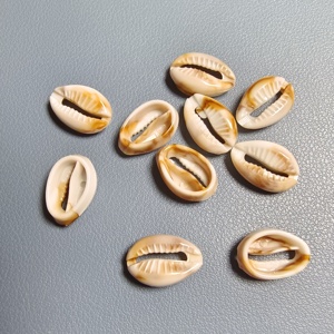 Venta al por mayor de cuentas de acrílico de 18 mm con forma de concha marina para pulseras, joyería bohemia, manualidades, decoración de fundas de teléfono, dijes de verano - Product Image 5