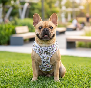 Conjunto de Arnés de Perro de Neopreno Acolchado Suave de Lujo, Cinta con Estampado de Sublimación Personalizada, Collar y Correa Personalizados para Perros - Product Image 3