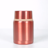 Vente en gros de gobelets isothermes modernes de 500 ml à double paroi en acier inoxydable 304 sans BPA, écologiques et portables / Thermos à soupe 12-24