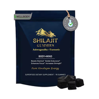 WELLBODY shilajit gommeux avec miel supplément de marque privée ashwaganda vente en gros bonbons sans sucre gommes shilajit oem